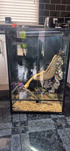 Fish tank and big lizard tank