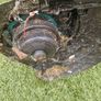 Bosch EasyTrim Strimmer Image 4