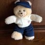 Vintage 90s Fisher price Briar berry "Ben Berry & Sarah Berry bear "W/ Accesories Image 8