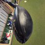 King Cobra Speedzone Driver Image 4
