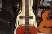 harmony guitar