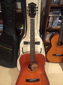 harmony guitar