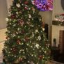The Orchard 'the national tree company' 7.5ft feel real Newberry Spruce tree Image 5