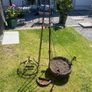 garden Image 4