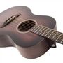 Acoustic Guitar Parlour-Size Whiskey Sour Vintage Guitar