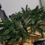 christmas tree Image 3