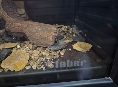 Faber Silence Gas Fire