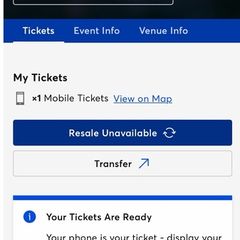 The Strokes 3Arena Standing Ticket