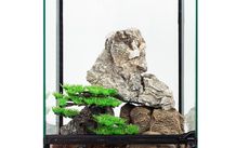 Terrarium Repti-Zoo 30x30x45cm