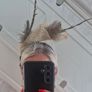 fascinator Image 4