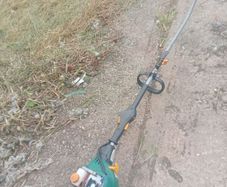 petrol strimmers
