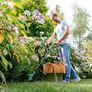 Bosch Electric Grass Trimmer EasyGrassCut 26 (280 Watt, Cutting Diameter 26 cm, Weight: 2 kg, in Carton Packaging) Image 4