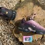 Premium Nike Air Max TN Plus Sunset Image 3