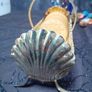 Silverplated Biscuit Basket Image 6