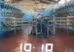 Relief milking available