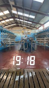 Relief milking available