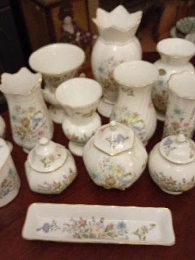 Aynsley"Wild Tudor" Collection