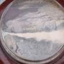 Rare Mid- Century American Redwood Californian Paperweight Image 8