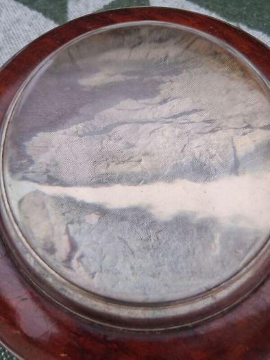 Rare Mid- Century American Redwood Californian Paperweight