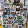 Huge Selection of Fridge Magnets Image 2