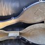 Mandocello and Hoyer Mandolin Image 5
