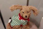 Beautiful dog christmas decoration
