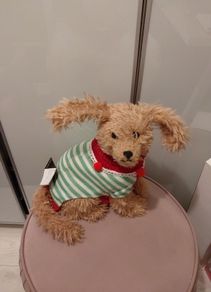 Beautiful dog christmas decoration