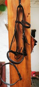 Cob Size Bridle