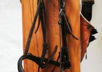 Cob Size Bridle