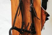 Cob Size Bridle