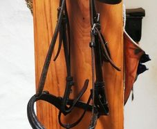 Cob Size Bridle