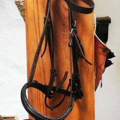 Cob Size Bridle