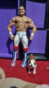 wwe