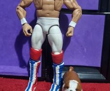 wwe