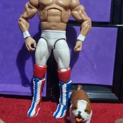 wwe