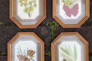 Collection watercolours framed free postage