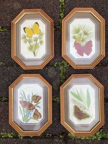 Collection watercolours framed free postage