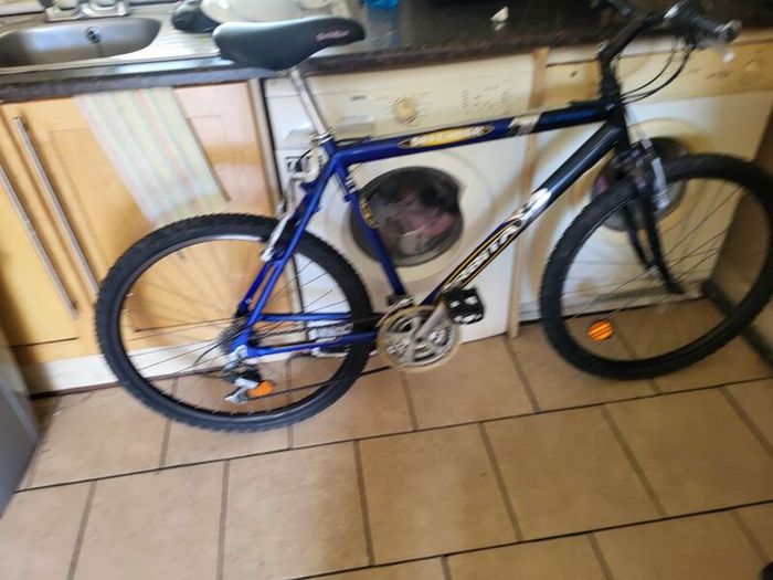 Mountain bike