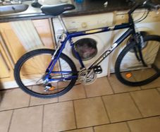 Mountain bike
