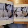 Little Polar Bears by Thorsten Milse. Image 9
