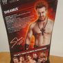 Wwe elite Sheamus series 8 Mattel Image 10