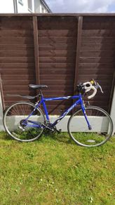 Adults bike