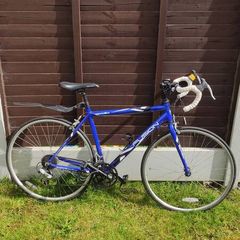 Adults bike