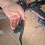 Ebike Image 6