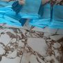 Puppy pet training pads  Large 180 Image 2