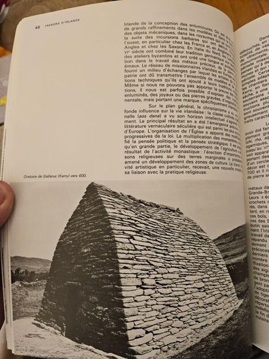 TREASURES OF IRELAND. THIS book is the exhibition catalogue for Tresors d'Irlande (Treasures of Ireland) held at the Galeries nationales du Grand Palais in Paris. Large volume paperback in good condition. See photos for same.