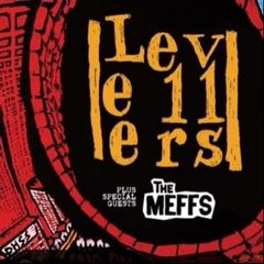 Levellers ticket