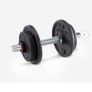 Dumbbell 10KG Image 2