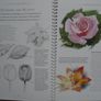 Learn to paint and draw, Hardback book,Art supplies,Book Image 5