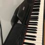 piano Image 5